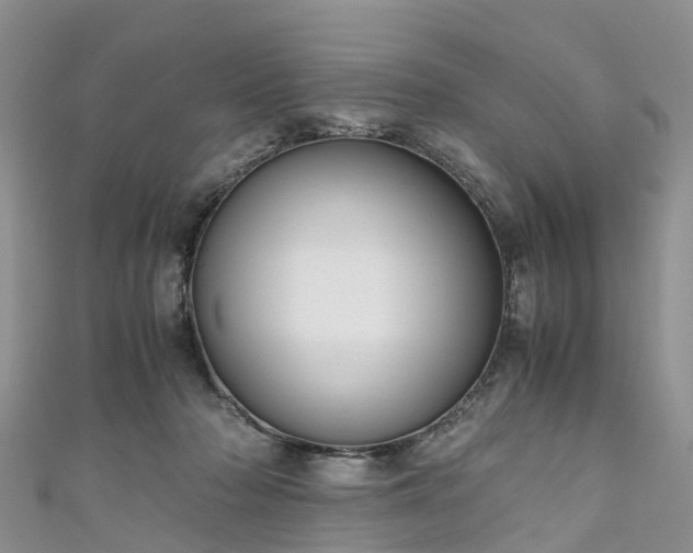 X0000110950318200906261326