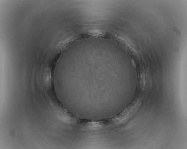 X0000110950320200906261326