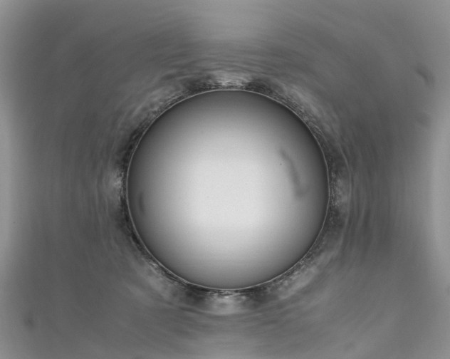 X0000110950321200906261326