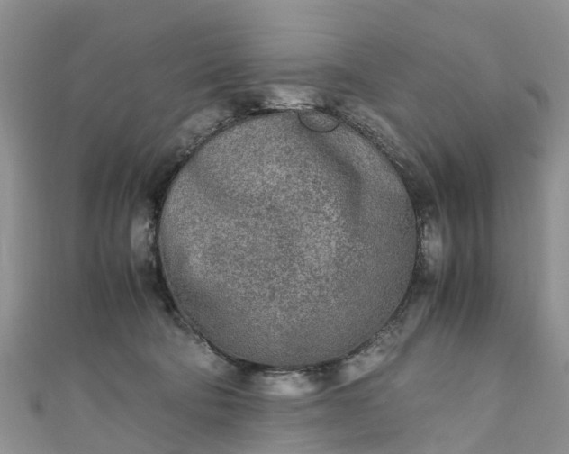 X0000110950322200906261326