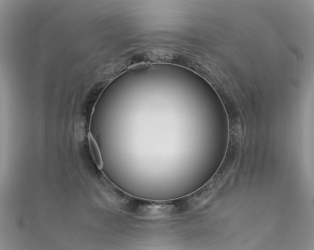 X0000110950323200906261326