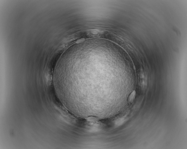 X0000110950324200906261326