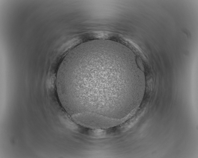 X0000110950325200906261326