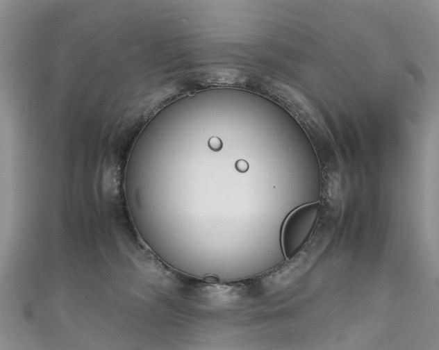 X0000110950326200906261326