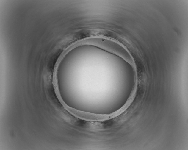 X0000110950327200906261326