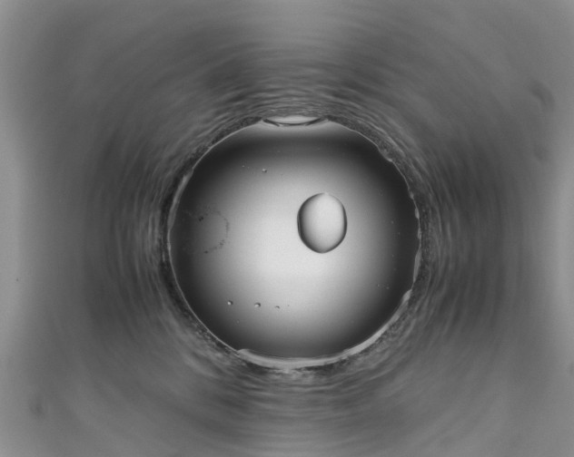 X0000110950328200906261326