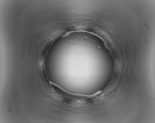 X0000110950329200906261326