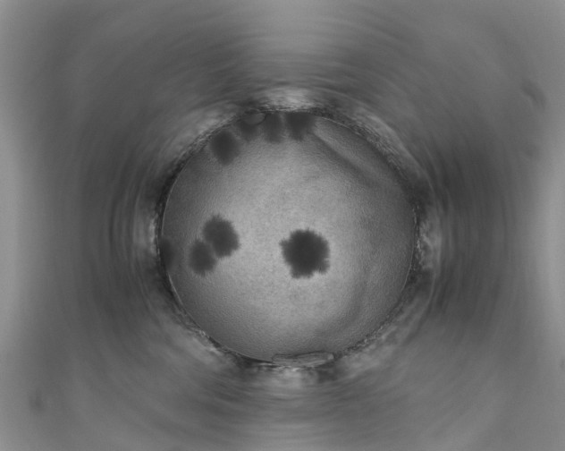 X0000110950330200906261326