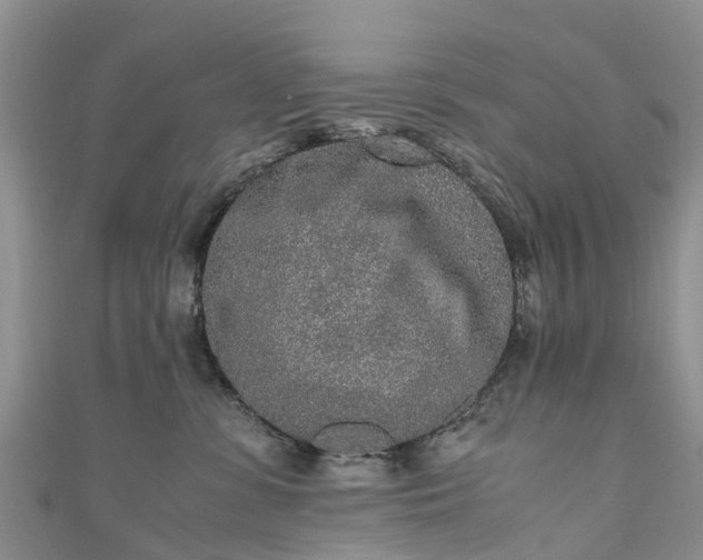 X0000110950331200906261326