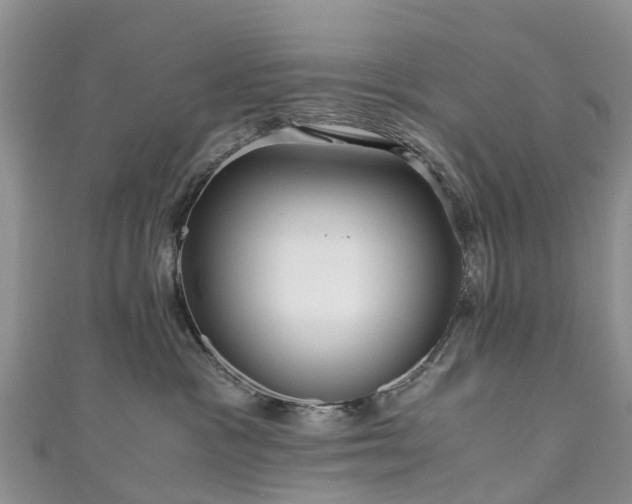 X0000110950333200906261326