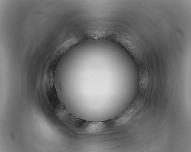 X0000110950334200906261326