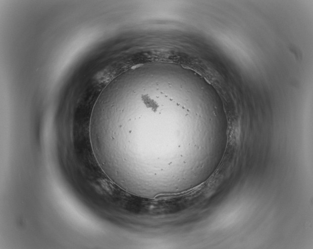 X0000110950335200906261326