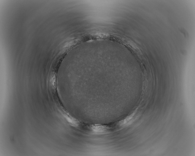 X0000110950336200906261326