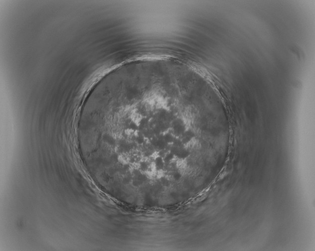 X0000110950337200906261325