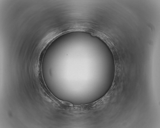 X0000110950338200906261325