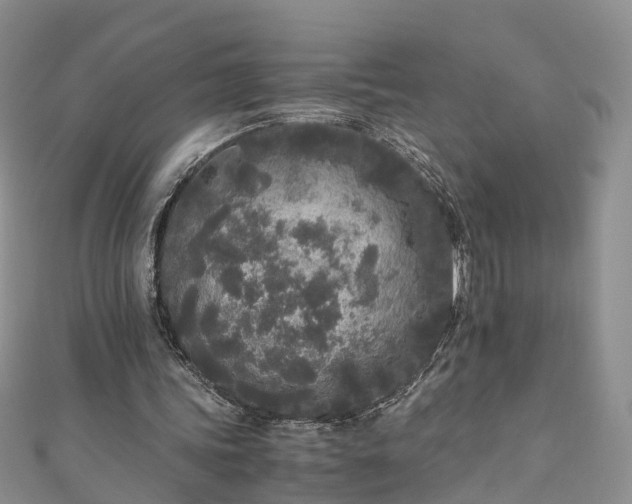 X0000110950339200906261325