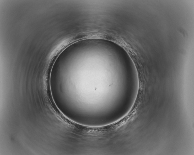 X0000110950341200906261325