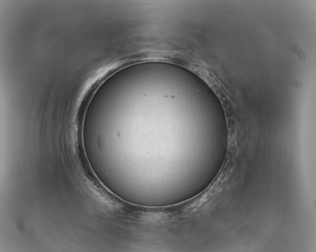 X0000110950342200906261325