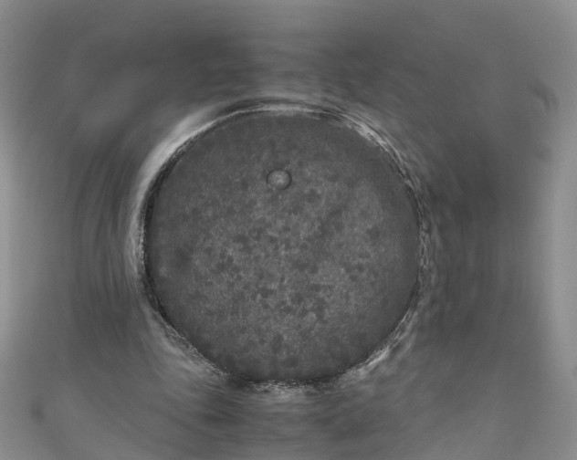 X0000110950343200906261325