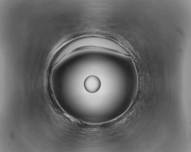 X0000110950344200906261325