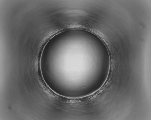 X0000110950345200906261325