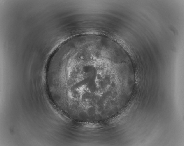 X0000110950347200906261325