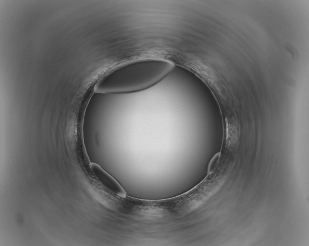 X0000110950348200906261325