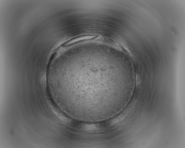 X0000110950349200906261325