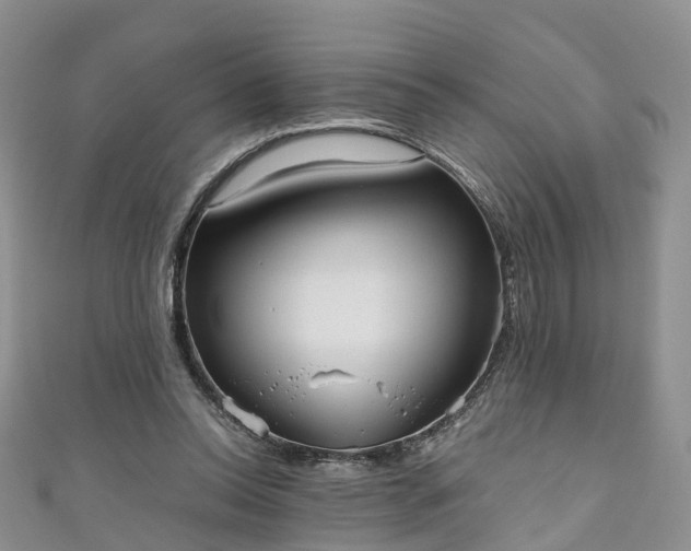 X0000110950350200906261325