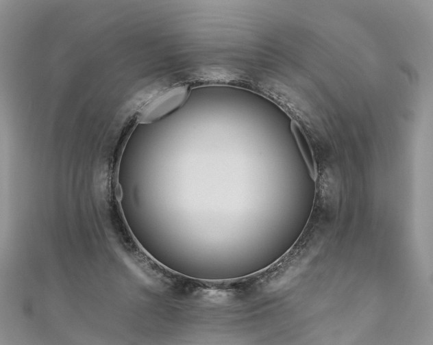 X0000110950352200906261325