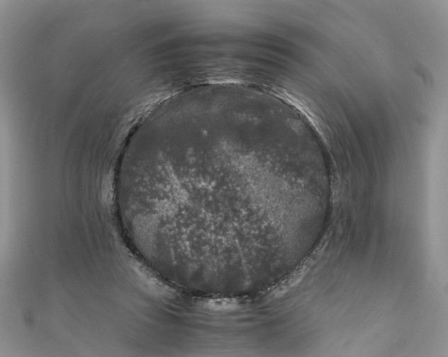 X0000110950353200906261325