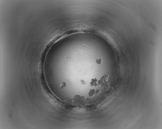 X0000110950354200906261325