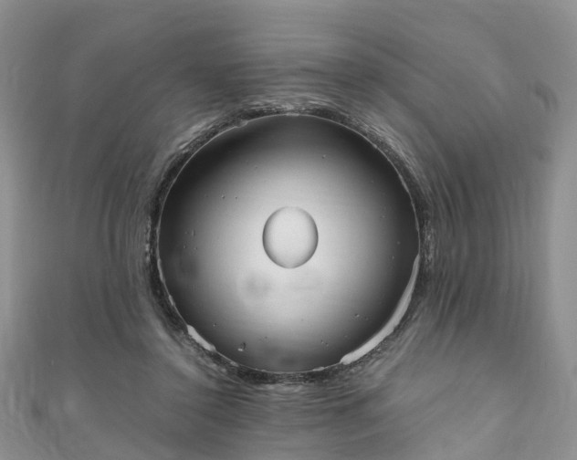 X0000110950356200906261325