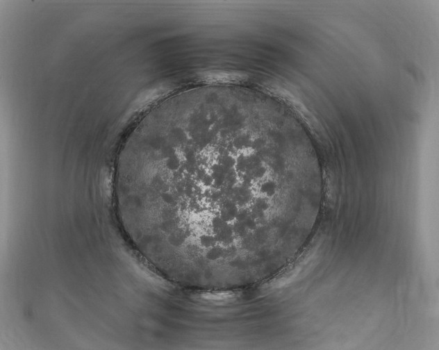 X0000110950357200906261325