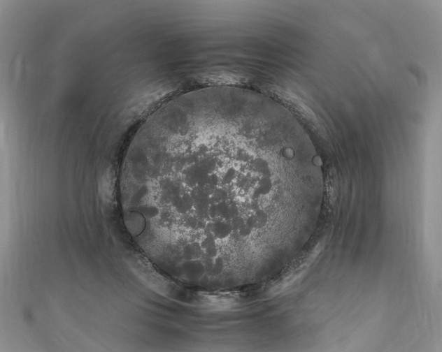 X0000110950359200906261325