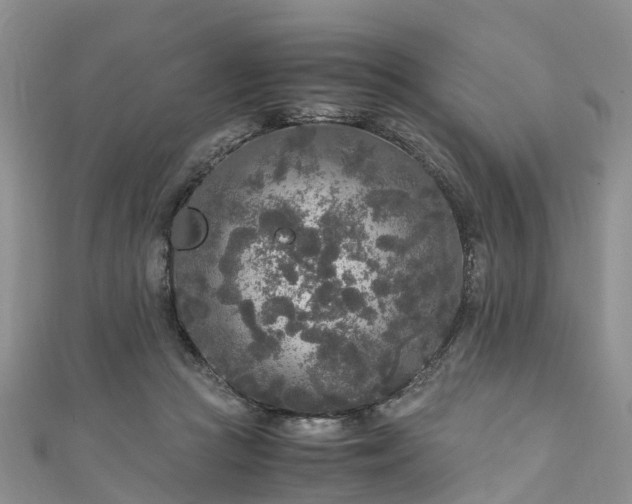 X0000110950361200906261325