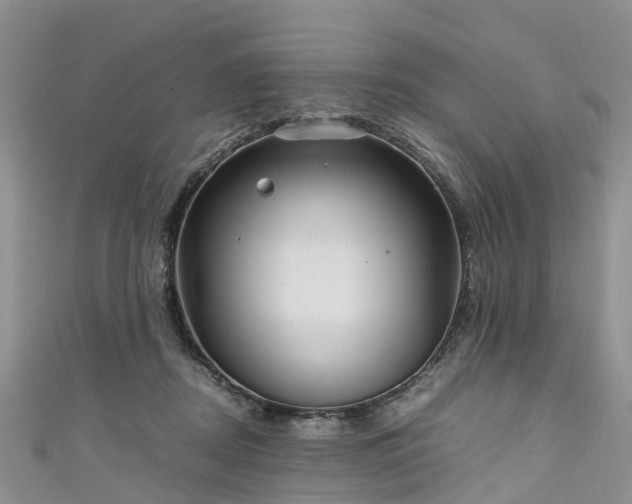 X0000110950362200906261325