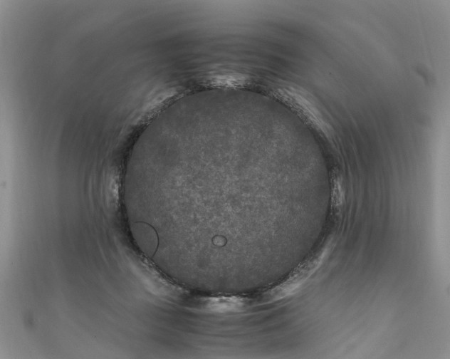 X0000110950363200906261325