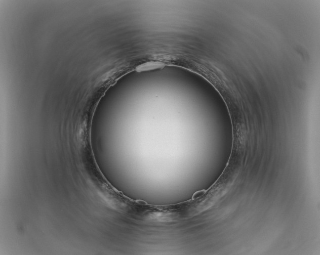 X0000110950364200906261325