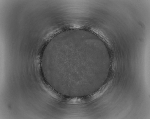 X0000110950366200906261325