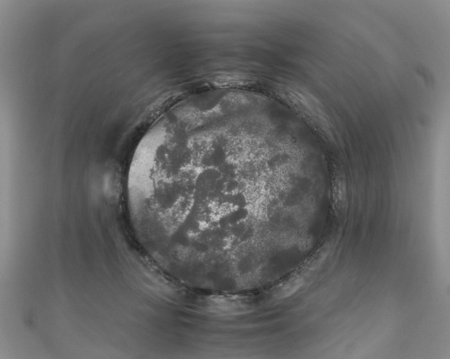 X0000110950367200906261325