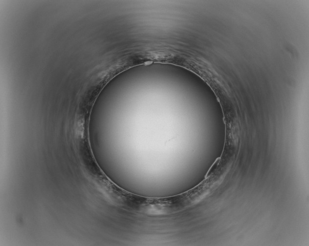 X0000110950368200906261325