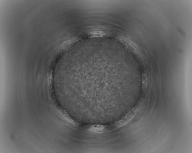 X0000110950369200906261325