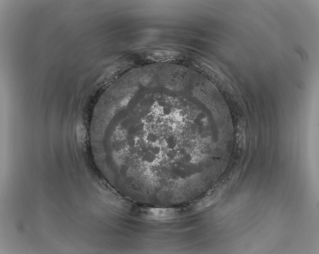 X0000110950371200906261325