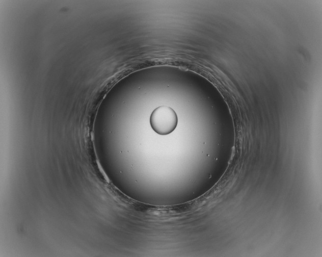 X0000110950372200906261325