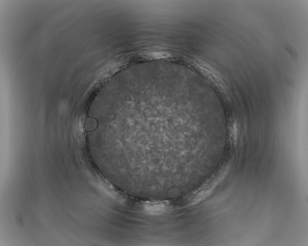 X0000110950373200906261325