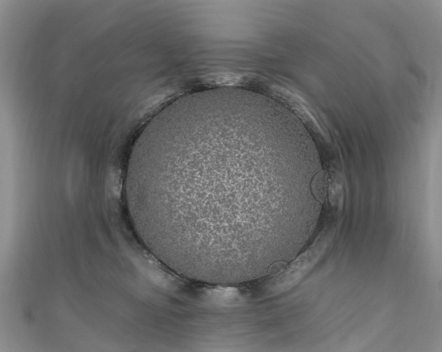 X0000110950374200906261325