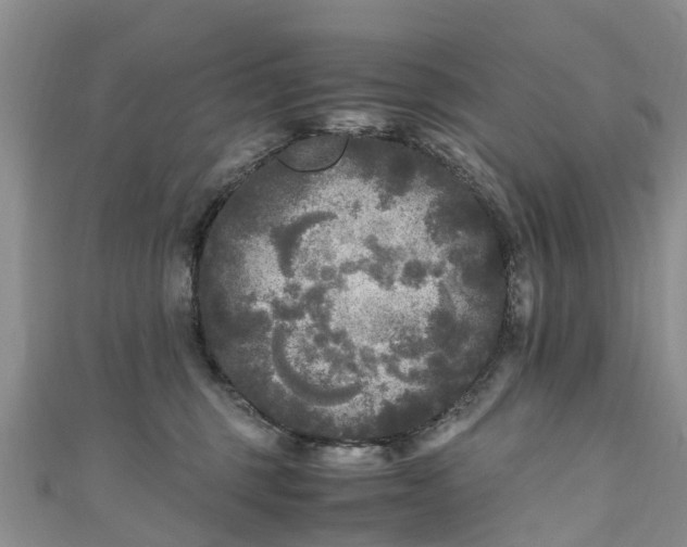 X0000110950375200906261325