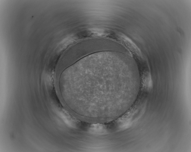 X0000110950376200906261325