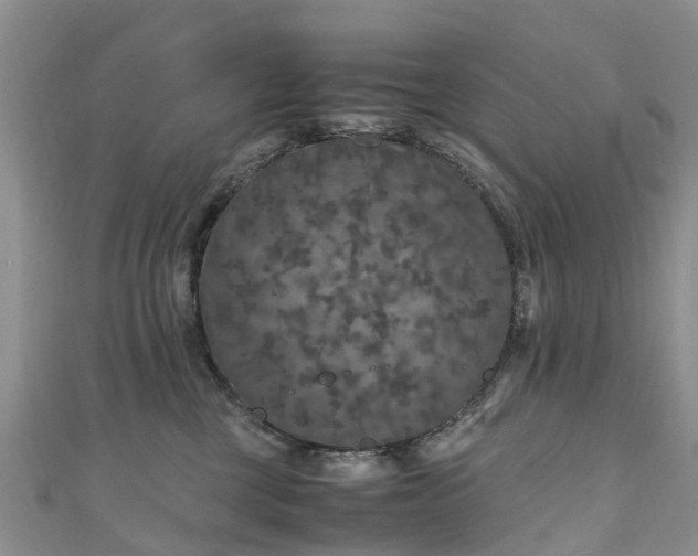 X0000110950377200906261325